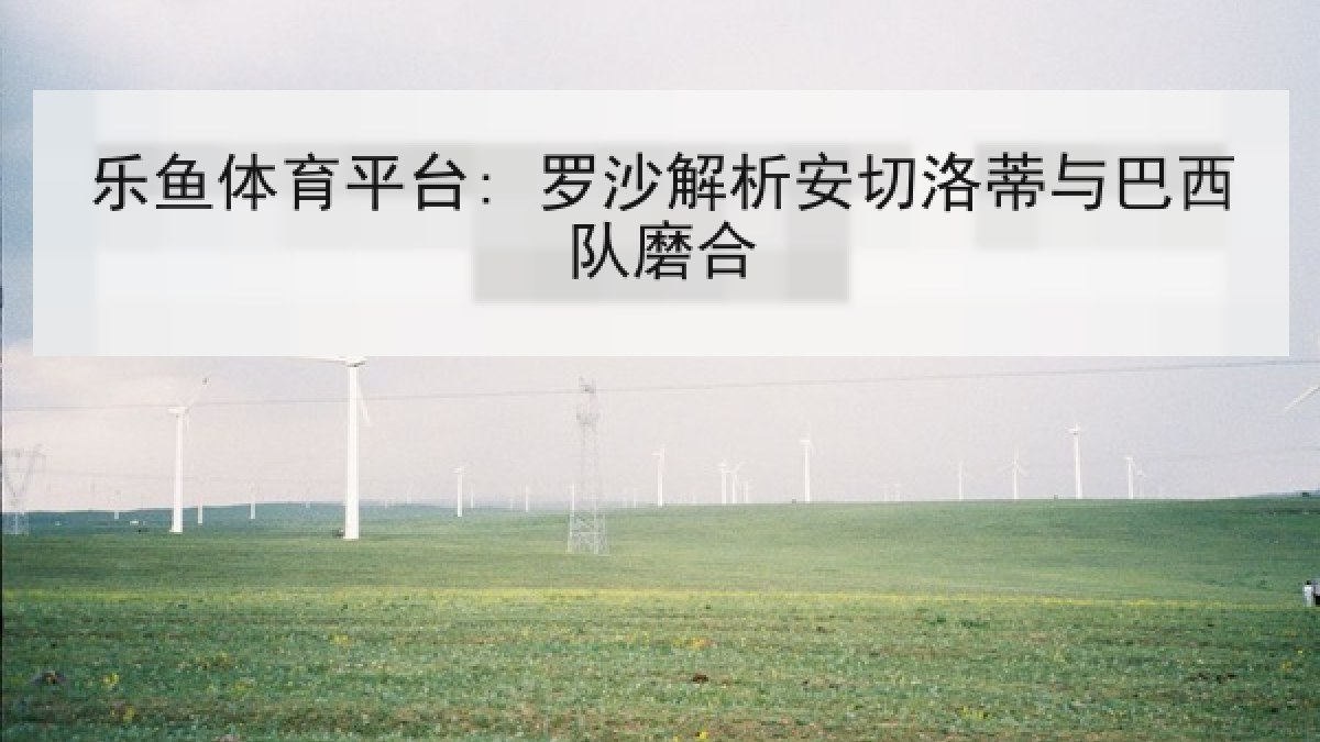 乐鱼体育平台: 罗沙解析安切洛蒂与巴西队磨合