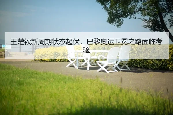 wang-chu-qin-xin-zhou-qi-zhuang-tai-qi-fu-ba-li-ao-yun-wei-mian-zhi-lu-mian-lin-kao-yan-2-781.jpg