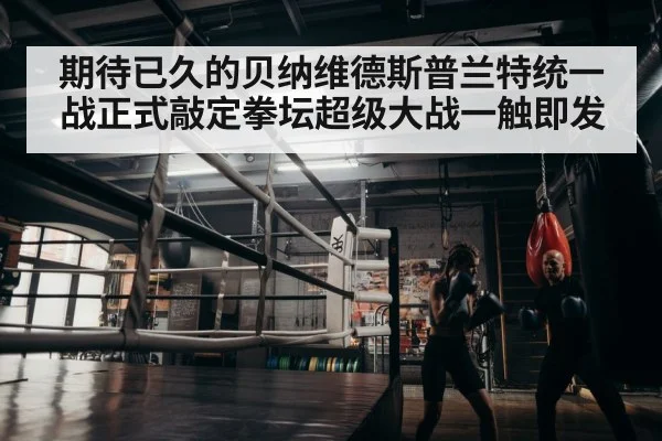 boxer training